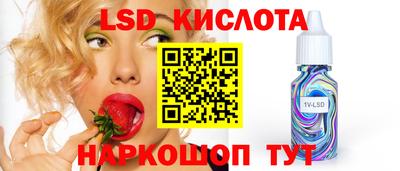 тгк Партизанск