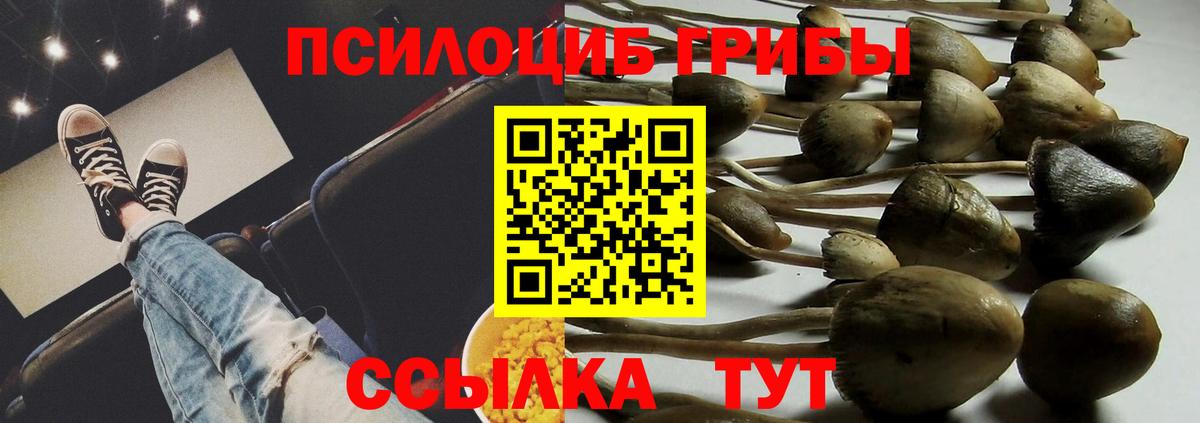 Псилоцибиновые грибы Psilocybe  Псилоцибиновые грибы ЛСД  Павлово  Вход с VPN 